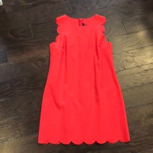 J crew dress